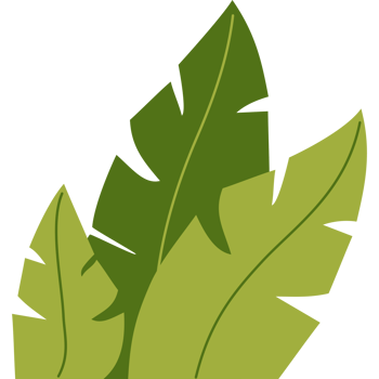 Green Tropical Leaves png