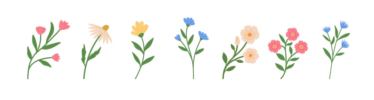 Set of blossom flowers illustrations. Hand draw style. Spring wildflower vector