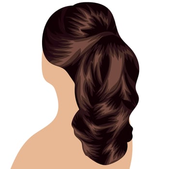 beautiful hairstyle of long brown female hair gathered in a ponytail vector