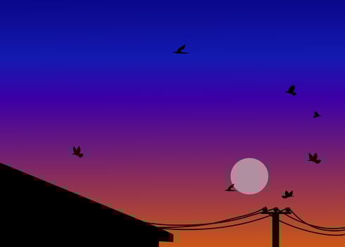 home, power pole, flying bird, and gradient sky sunset illustration vector