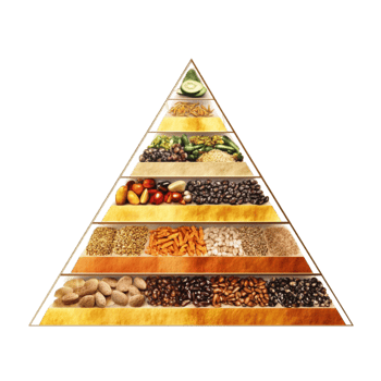Creative Food Pyramid with Different Layers on Transparent Background png
