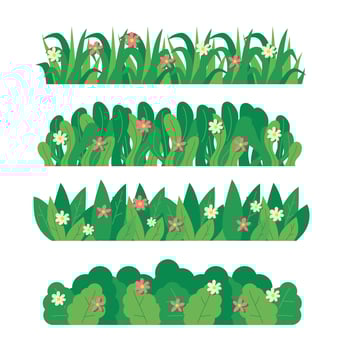 bush blossom. grass bush illustration vector