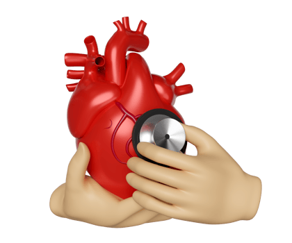 Two hands holding realistic human heart with stethoscope isolated. health check concept, 3d illustration render png
