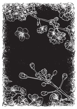 Vintage gunge A4 print design with line art cherry blossoms elegant text. hand drawn outline of these beautiful spring flowers on grunge black background. vector