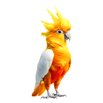 Vibrant Yellow Cockatoo with Feathered Crest Displaying Unique Charm png