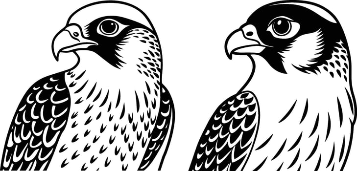 A beautiful falcon line art illustration. vector