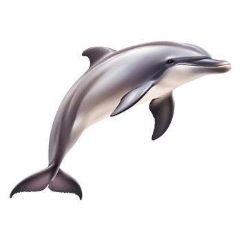 Playful Dolphin Swimming Joyfully in Clear Blue Water png
