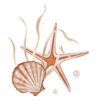 Watercolor composition of Seashell and Seaweed, star. Hand drawn illustration of pastel color Sea Shell and Algae on isolated background. Undersea element for design in marine vintage style. png