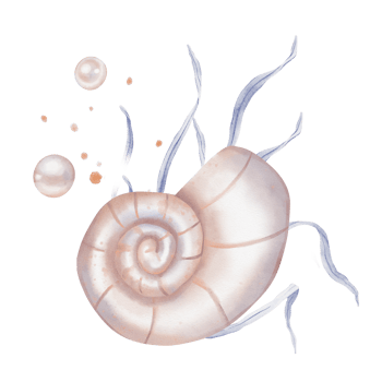 Watercolor composition of Seashell and Seaweed, pearl. Hand drawn illustration of Sea Shell and violet Algae on isolated background. Undersea element for design in marine vintage style. png