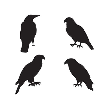 Birds of Prey and Raven Silhouette Set Illustration. vector