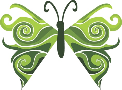 Stunning Butterfly Adornment vector