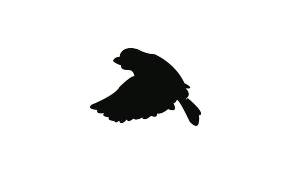 Flying African broadbill bird Silhouette Design vector