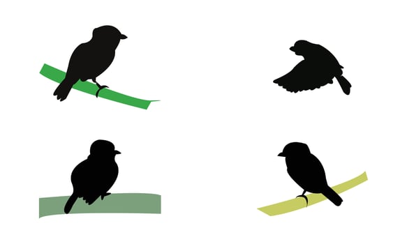 African broadbill bird Silhouette Collection vector