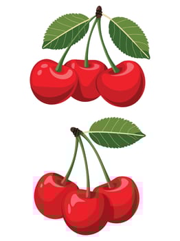 Cartoon Ripe Cherries Bunches vector