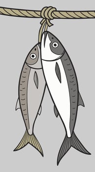 Fish hung on a rope for decoration vector