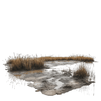 Mudflats and puddles in a wetland ecosystem under white atmospheric conditions, Wetland Ecosystem Mudflats and Puddles, Transparent background png