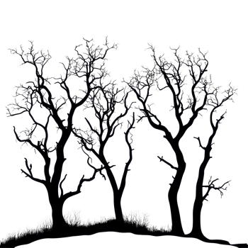 Silhouetted dry trees standing tall against a Transparent background creating a stark contrast in shape and form, Silhouette many dry trees isolated on png