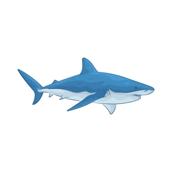 Illustration of sea shark vector