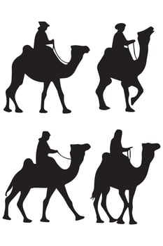 Camel Illustrations on White Background vector