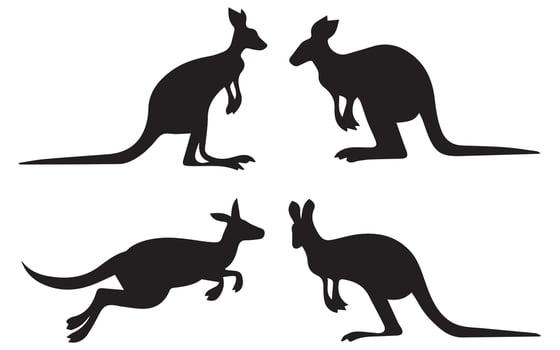 Set of Kangaroo Silhouette Illustrations vector
