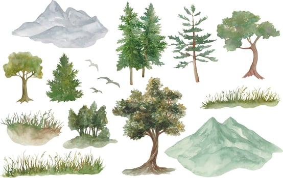 Watercolor set with pine trees, fir trees, mountains, and grassy landscapes. Hand drawn illustration. vector
