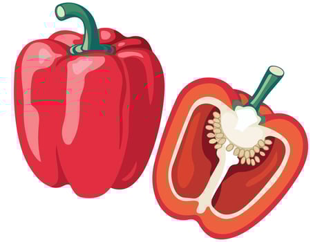 Pepper Fresh and Healthy Diet Concept, Ripe and Delicious vector