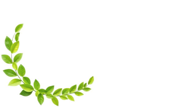 A green leaf wreath isolated on a Transparent background png