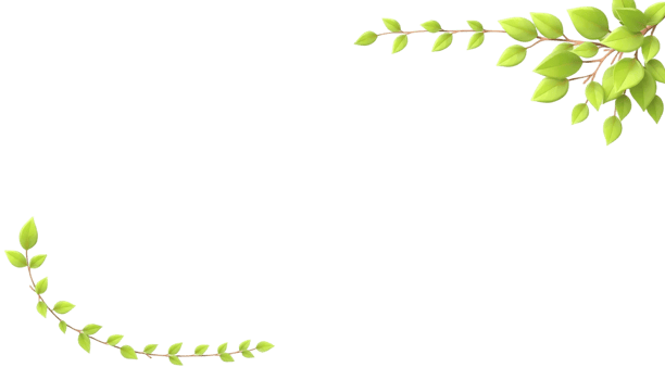 natural leaves Palm tree branch on Transparent background png