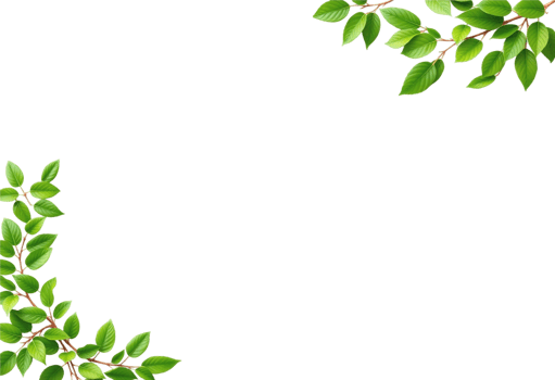 copyspace Green leaves on Transparent Background png