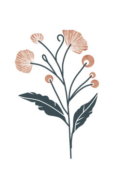 Pink floral illustration png