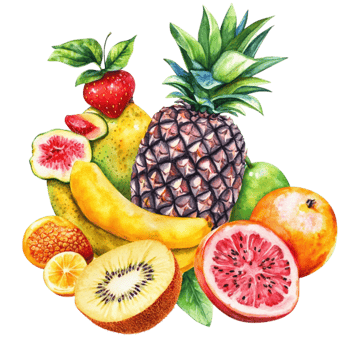 Colorful Tropical Fruits Including Pineapple, Kiwi, and Grapefruit png