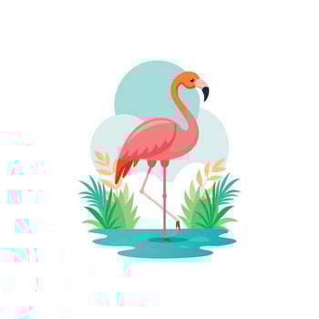Elegant Flamingo Standing in Shallow Water vector