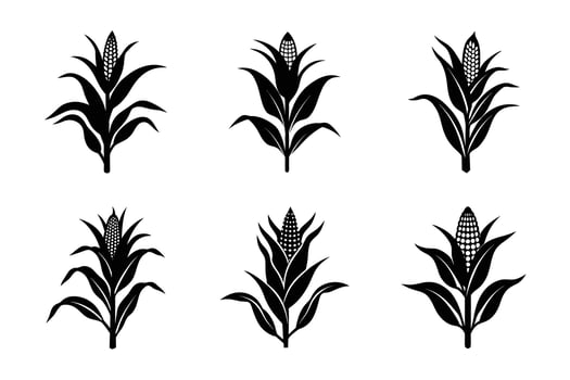 Corn Plant with Leaves - Corn on the Cob, Farming, Agriculture, Crops, Vegetable Plant, Farming Graphics vector