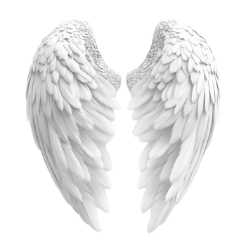 Elegant Soft Feathered Angel Wings png
