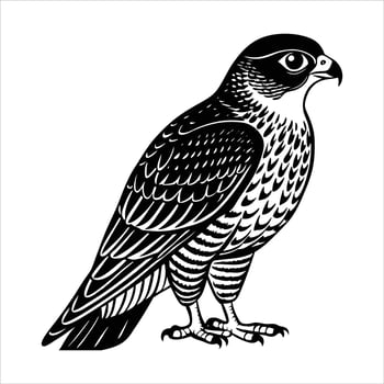 Peregrine Falcon Birds Silhouette vector