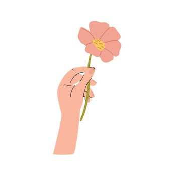 Spring flower. Hand holding pink flower, flat style illustration isolated on white background. vector