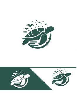 Turtle Drift Turtle logo vector