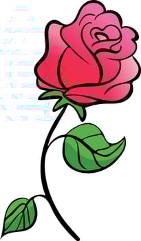 Rose flower illustration vector