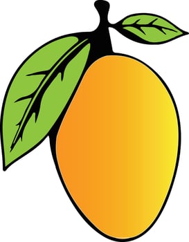 Yellow mango with green leaves illustration on white background vector