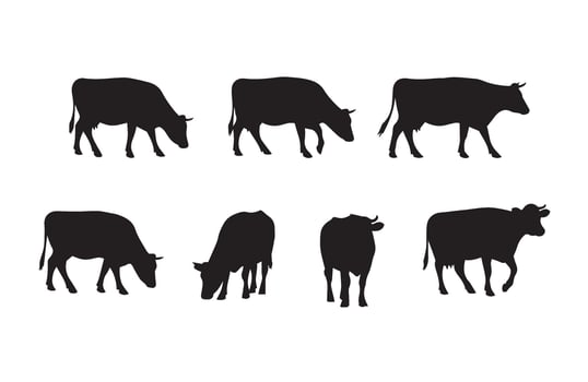 Cartoon farm cow graphic showing cattle farming animals vector