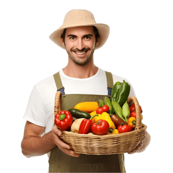 Isolated farmer holding fresh vegetables in a basket outdoor background lifestyle bright environment smiling viewpoint png