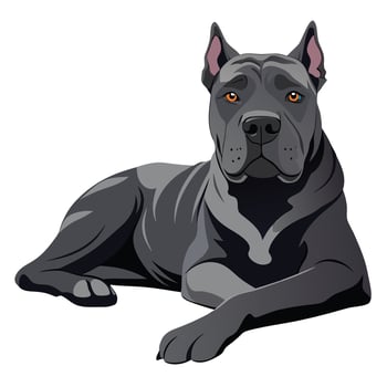 cane corso dog laying color illustration, Cartoon graphic.Pet Animal vector