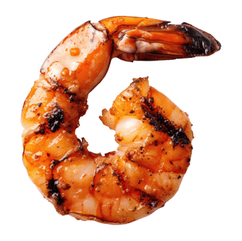 Grilled shrimp top view png
