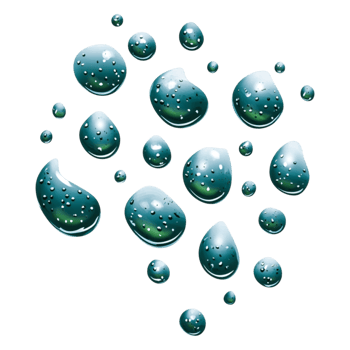 Glossy Water Drops Collection on Transparent Background png