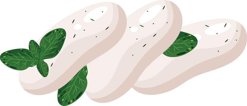 pieces of soft cheese namely mozzarella with basil leaves and spices on it, for various menus, posters or designs vector