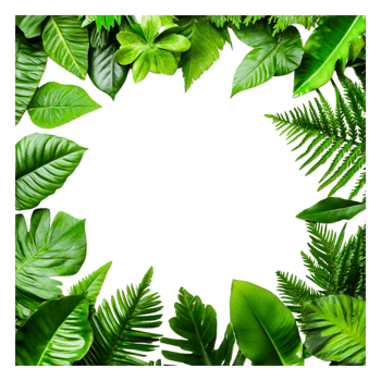 Lush Green Leaves Frame with Varied Textures for Nature Background png