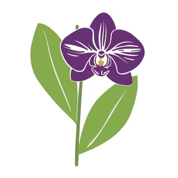 Stunning Orchid Flower Illustration with Bold Outline vector