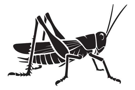 Grasshopper Black Silhouette Illustration Insect Pest Design vector