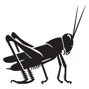 Silhouette Grasshopper or Locust Insect Art Illustration vector