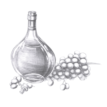 Bottle of cognac and a large bunch of grapes in pencil. Isolated illustration on the theme of alcoholic drinks for menu design, cookbook, gastronomic magazines and festivals. png